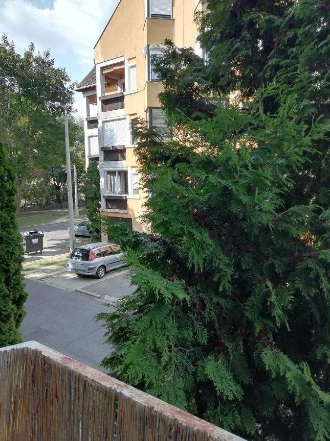 Апартаменти Rokus Apartman Сегед Екстер'єр фото